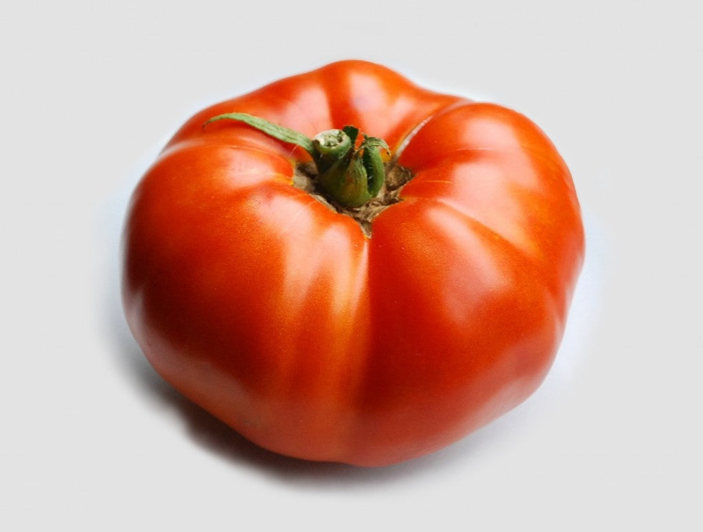 brandywine red tomato plant Brandywine Red Tomato Plants (12-04 Pack)