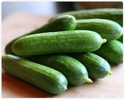 Cucumber Slicemore (3.5")