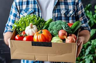 SHIPPED Vegetable Plants PREORDER