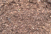 Piney Mulch