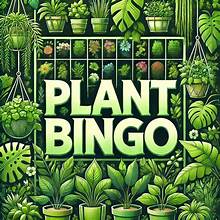 Plant BINGO