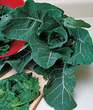Collards Georgia Southern (12-04 Pack) (Shipped)