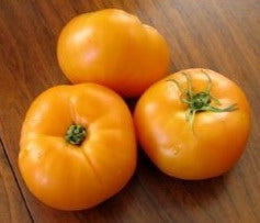 Tomato Golden Jubilee (12-04 Pack)