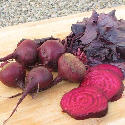 Bull's Blood Beet