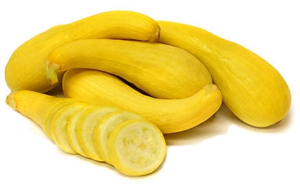 Squash Yellow Crookneck (12-04 Pack)