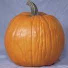 Pumpkin Howden (3.5")