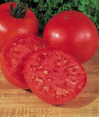 Tomato Burpee Big Boy (12-04 Pack) (Shipped)