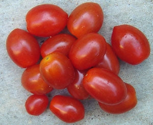 Tomato Red Grape (3.5