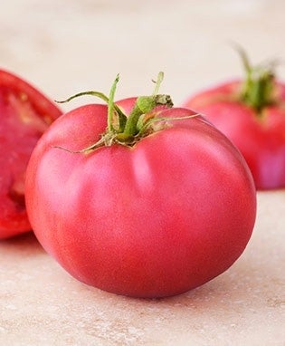 Tomato Pink Girl (3.5