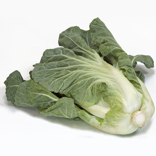 Cabbage Sweet Thang (3.5") (Shipped)