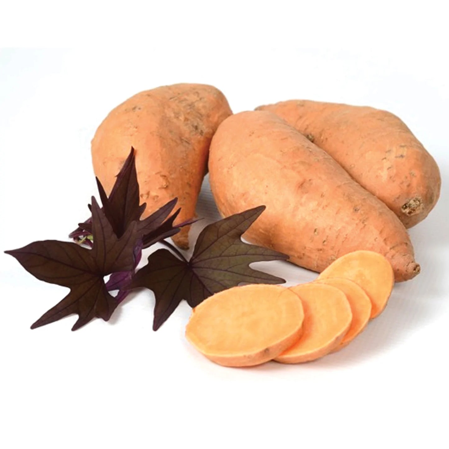 Sweet Potato Manihi (Quart)