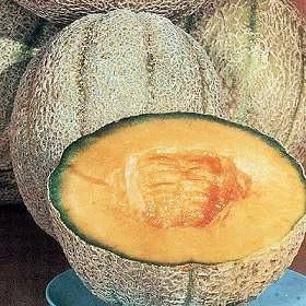 Cantaloupe Hale's Best Jumbo (12-04 Pack) (Shipped)