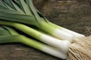 American Flag Leek