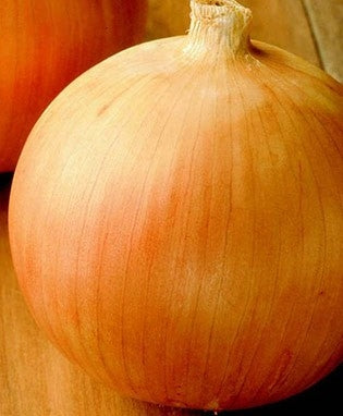 Onion Yellow Sweet Spanish (12-04 Pack) (Shipped)