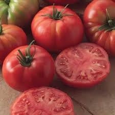 Champion II Tomato 