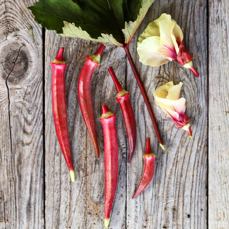 Okra Candle Fire (3.5") (Shipped)