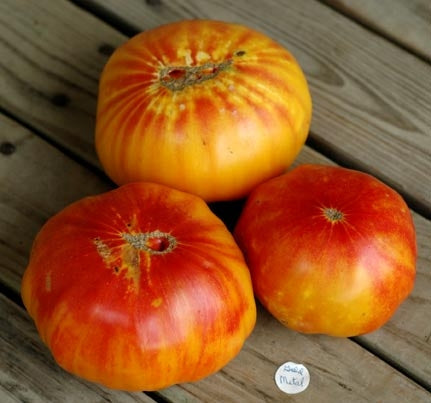 Tomato Old German (12-04 Pack)