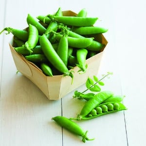 Peas Sugar Snap (3.5") (Shipped)