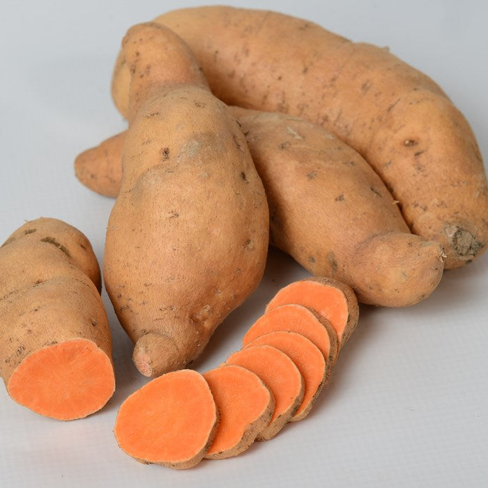 Sweet Potato Kaukura (Quart) (Shipped)