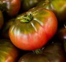 Tomato Cherokee Carbon (3.5")